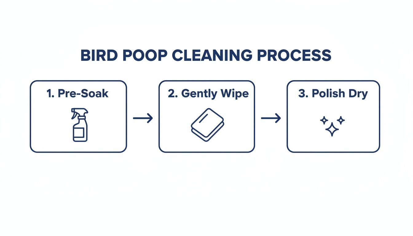 A three-step infographic outlining the bird poop cleaning process: pre-soak, gently wipe, and polish dry.