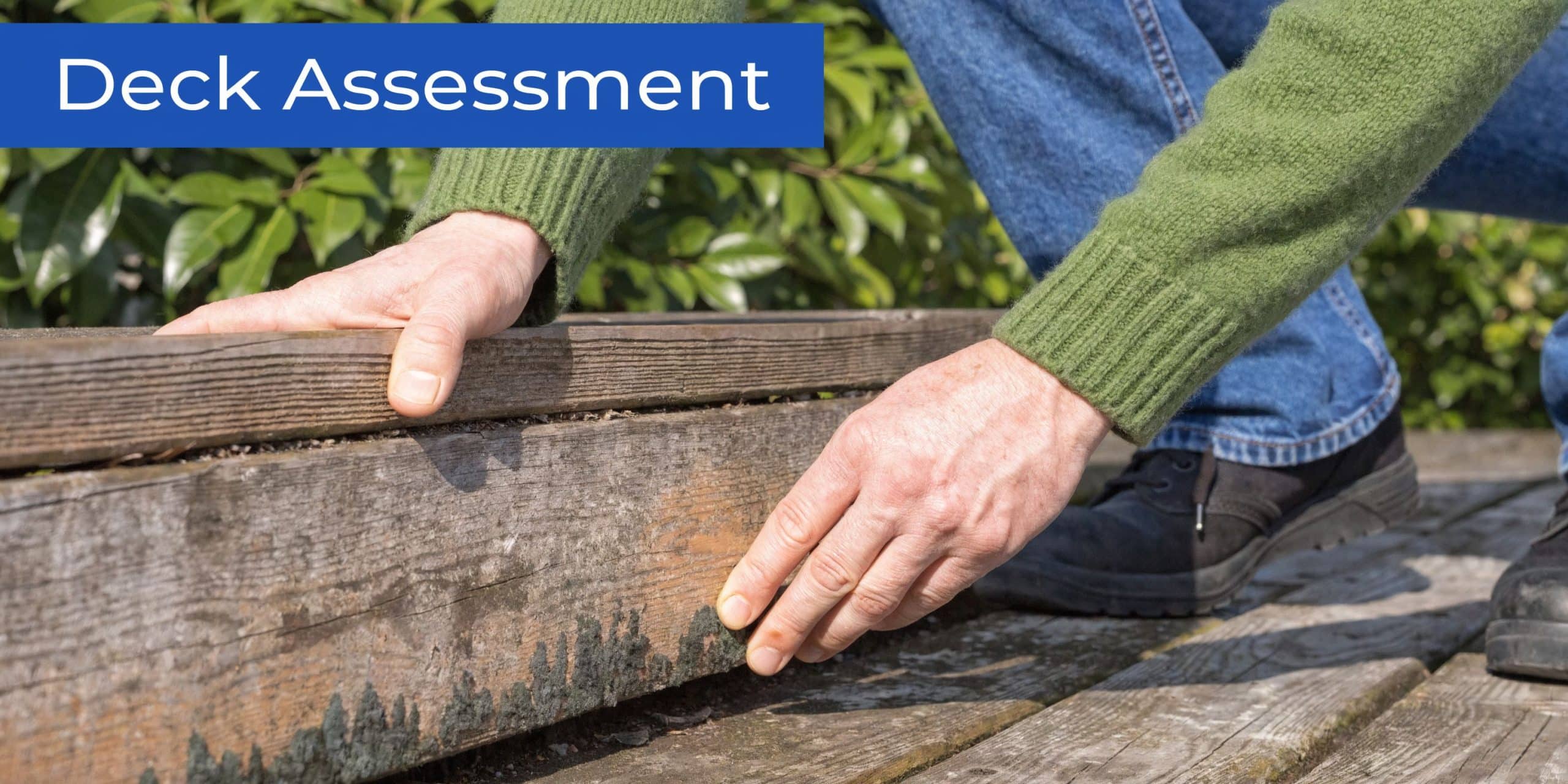 A person inspects weathered and moldy wooden deck boards outdoors during a residential property maintenance assessment.