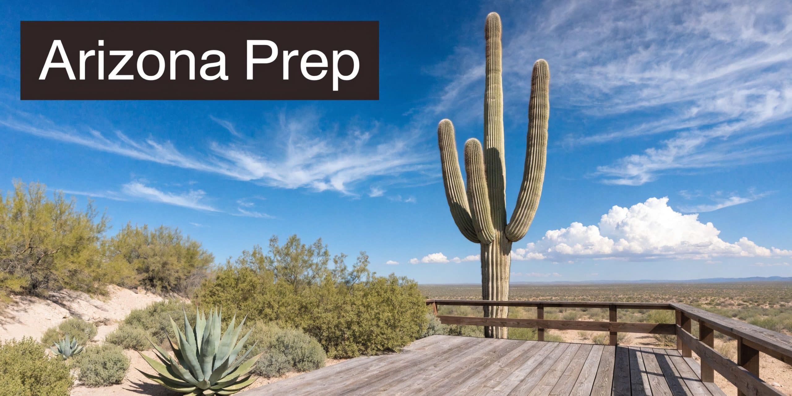 A scenic wooden deck overlook featuring a large saguaro cactus and desert landscape under a sunny sky.