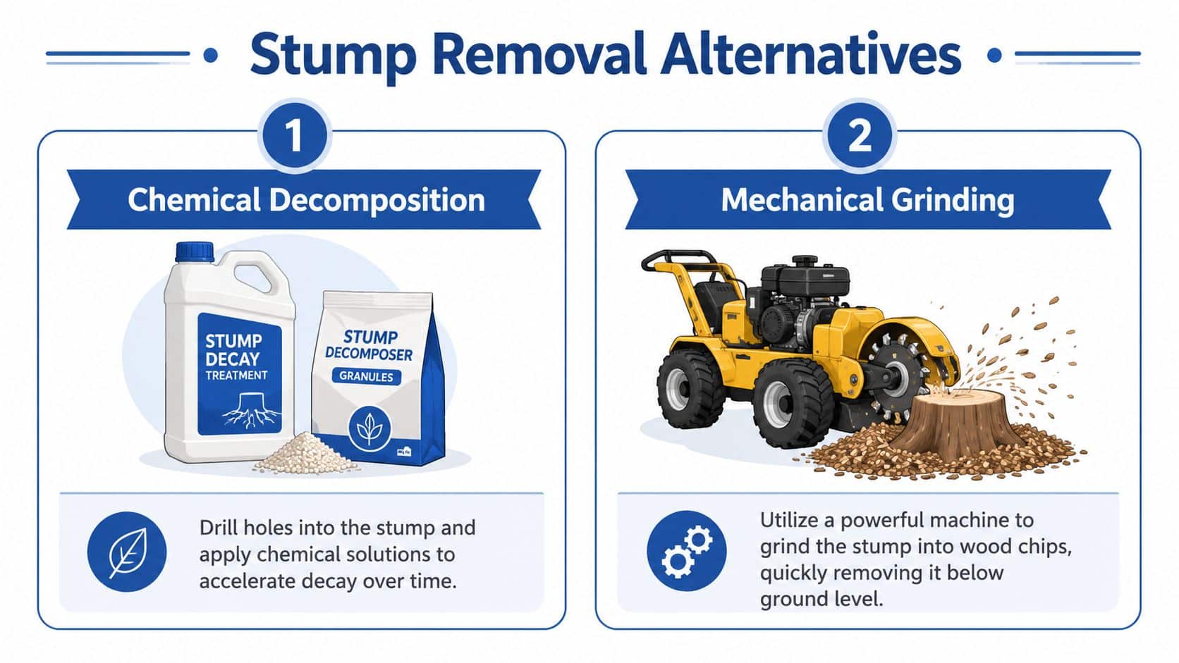 An infographic showing two alternatives for tree stump removal: chemical decomposition and mechanical grinding with machinery.
