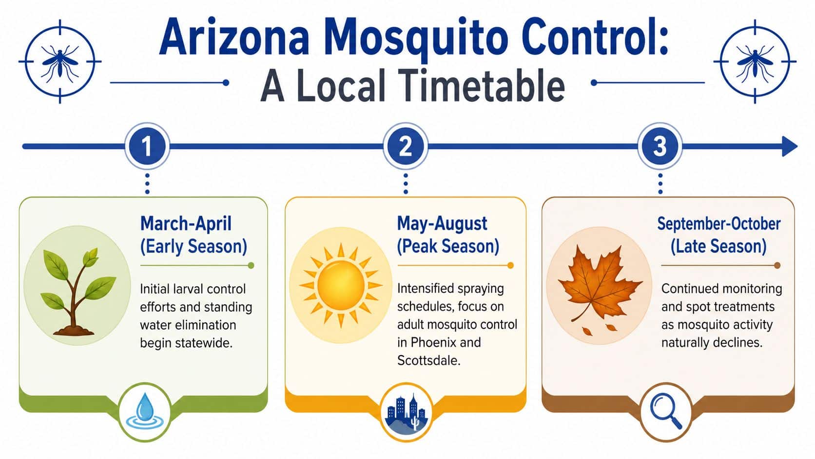 A timeline infographic detailing the seasonal schedule for mosquito control activities in Arizona throughout the year.