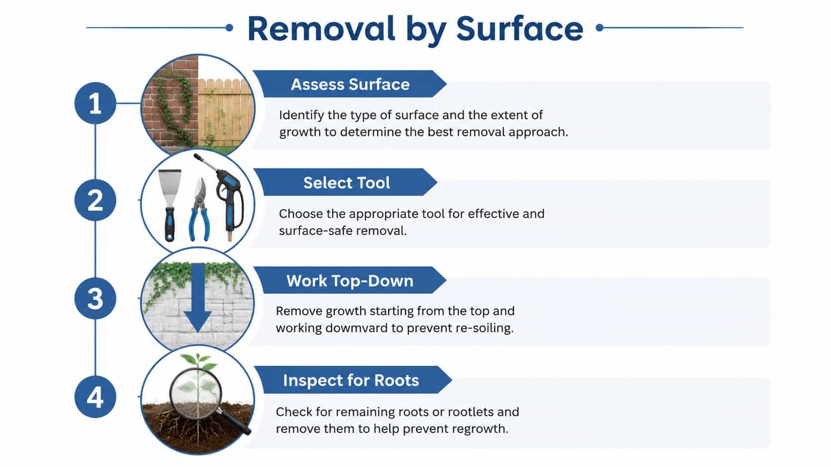 An infographic showing four steps for the safe removal of climbing plants from different surfaces.